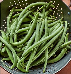 Green bean's