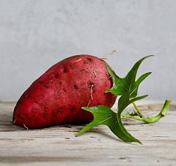 Sweet potatoes