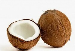 Coconut